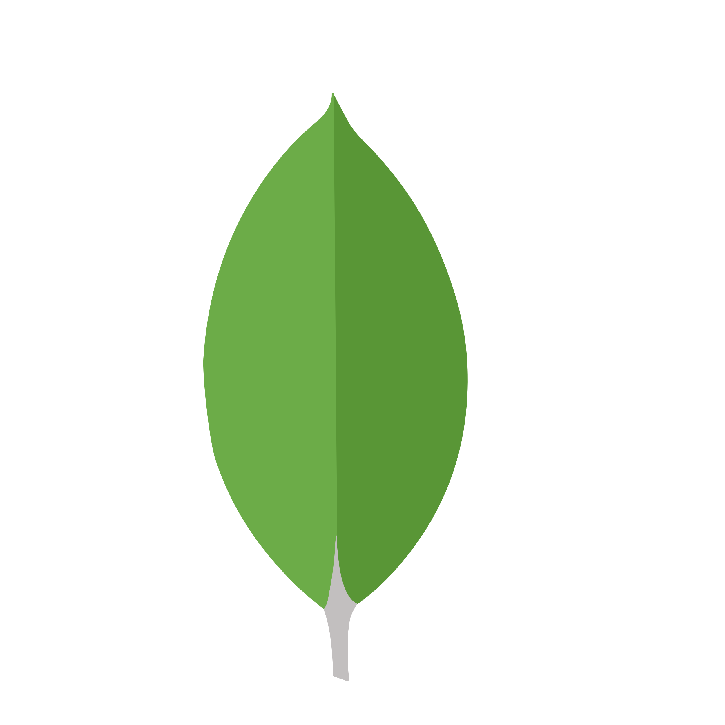  MongoDB