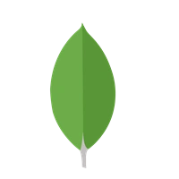  MongoDB